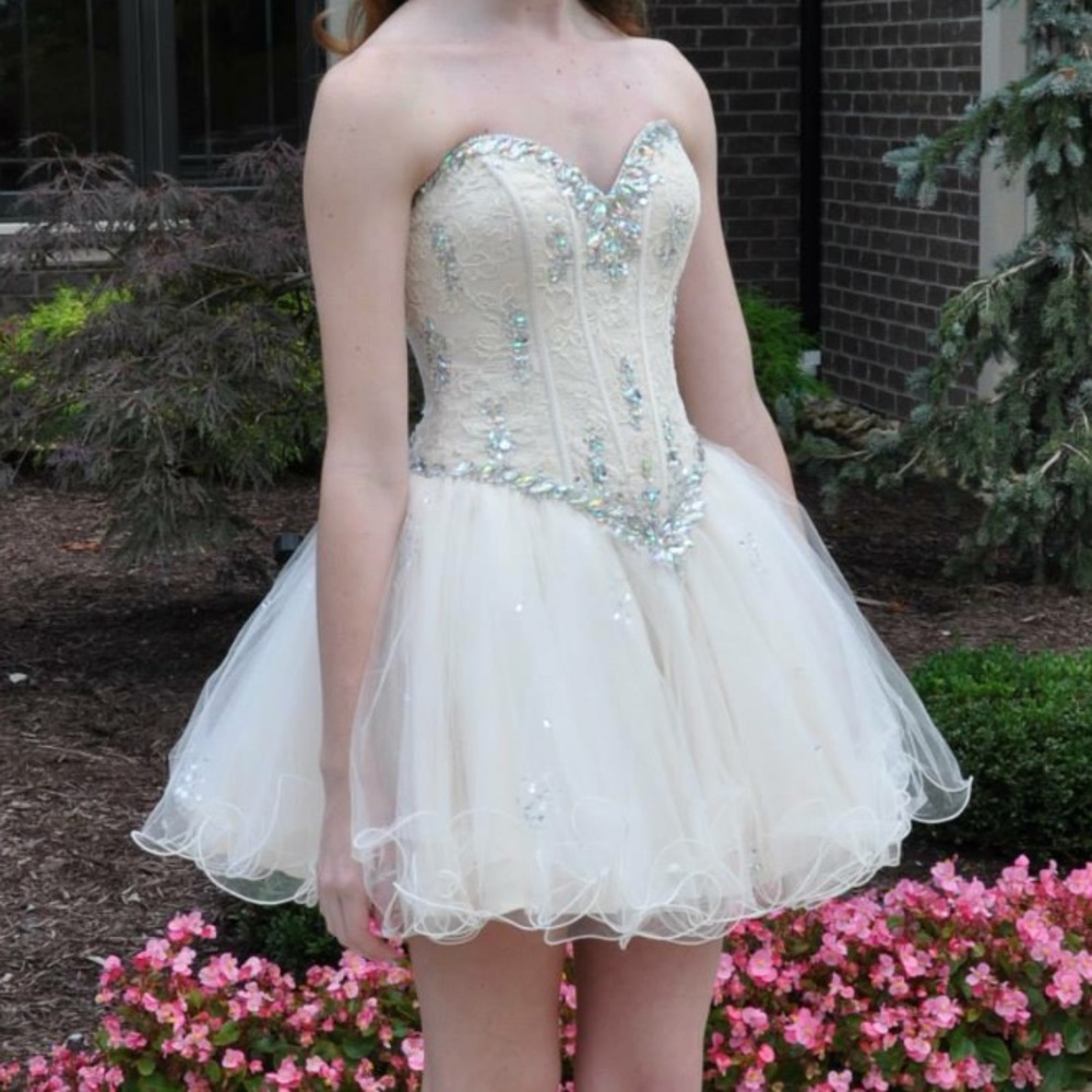 Lace Corset Formal Dress